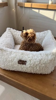 a dog is sitting in his bed on the table