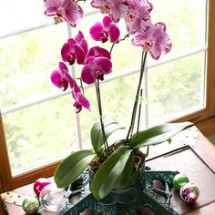 a vase with purple flowers on a table in front of a window