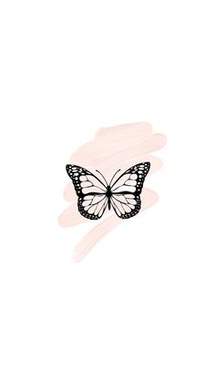 a drawing of a butterfly on a white background