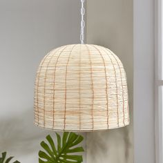 a white lamp hanging from a ceiling next to a potted plant