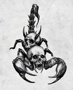 a black and white drawing of a scorpion with skulls on it