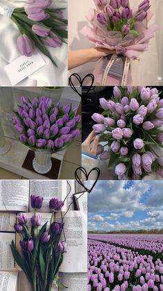 purple tulips and other flowers are arranged in different pictures, including an open book