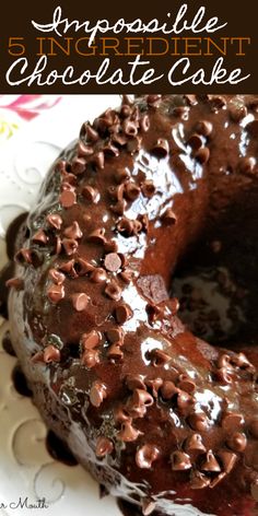 a chocolate cake on a white plate with the words, impposable encradient chocolate cake