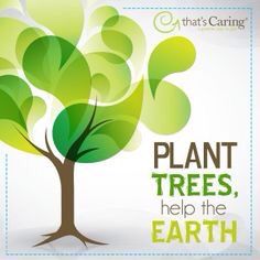 a green tree with the words plant trees help the earth