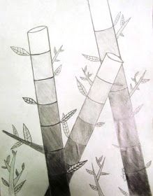 pencil drawing of three tall trees with leaves