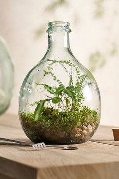 a glass vase filled with plants on top of a wooden table