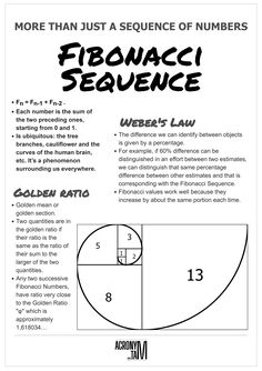 the fibonaci sequence worksheet is shown in this graphic file, which includes