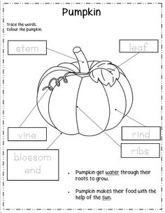 a pumpkin worksheet with words and pictures to help students learn how to read