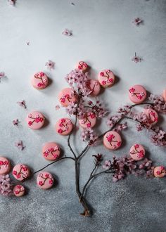 pink decorated cookies and flowers on a gray surface