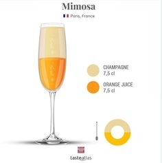 the champagne glass is labeled in different colors and sizes, with information about its contents