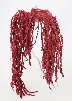 Burgundy Preserved Amaranthus Burgundy Amaranthus, Red Amaranthus, Hanging Amaranthus, Fall Floral Centerpieces, Trailing Flowers, Dried Flower Bouquets, Charlotte Hawkins, Eucalyptus Lavender, Globe Amaranth