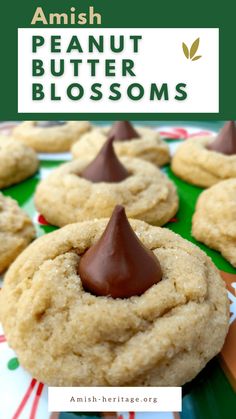 peanut butter blossoms with chocolate in the middle on a green and white plate, surrounded by other cookies