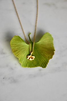 Tiny but beautifully detailed ginkgo leaf pendant necklace. This necklace is a perfect balance of minimalist style and dainty details. A great gift idea, this necklace would make the perfect addition to any jewelry collection. This ginkgo leaf pendant necklace is a sweet reminder of health and longevity.  About the ginkgo tree: One of the oldest living tree species in the world is the ginkgo tree. It is the lone surviving member of a long-extinct group of trees that existed before dinosaurs roam Ginkgo Leaf Necklace, Leaf Necklace Gold, Ginkgo Tree, Tree Species, Ginkgo Leaf, Jewellery Ideas, Leaf Charms, Necklace Dainty, Leaf Necklace