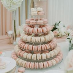 Incredible Mini-Dessert Ideas For Weddings / Blog | Wedding Outline Eclair Recipes, Caramel Eclair, Mini Cake Recipes, Mini Red Velvet Cake, Dessert Buffet Wedding