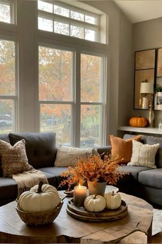 a living room filled with furniture and lots of windows covered in fall foliage, pumpkins on the coffee table