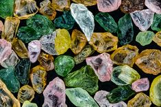 many different colored rocks and stones together on a black background with the colors of green, yellow, pink, and orange