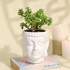 a white buddha head planter sitting on top of a book next to a candle