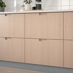 a kitchen with wooden cabinets and white counter tops, plants on the top of the cupboards