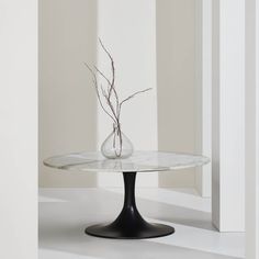 a glass table with a vase on it and some branches in the middle, against a white wall