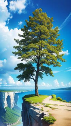 a lone tree sitting on the edge of a cliff by the ocean with blue sky and clouds