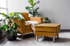 a living room with plants and a chair