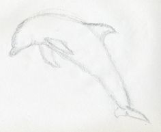 a drawing of a dolphin jumping in the air