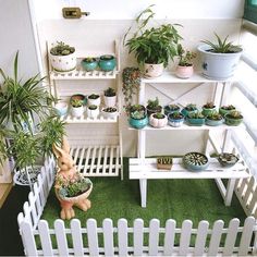 a room filled with lots of potted plants on shelves next to a white fence