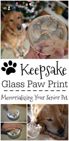 a collage of photos with the words keepake glass paw print and pictures of a dog