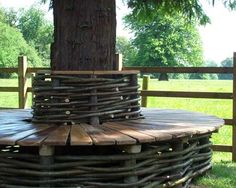 a wooden bench sitting next to a tree in the grass near a fenced in area