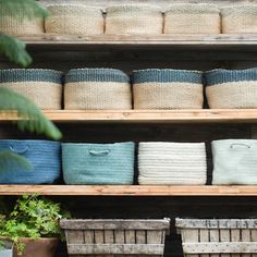 baskets are lined up on shelves in a store