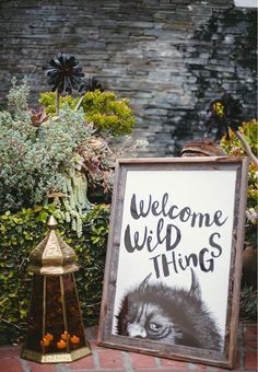 a welcome wild thing sign next to a potted plant