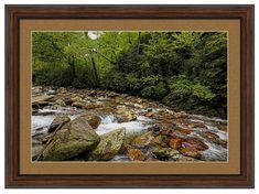 a river running through a forest filled with rocks and trees in the foreground, surrounded by lush green foliage