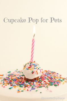 a cupcake with sprinkles and a lit candle on top that says cupcake pop for pets