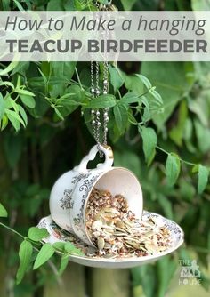 a teacup bird feeder hanging from a tree filled with green leaves and birdseed