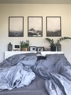 an unmade bed with three pictures on the wall above it and a potted plant