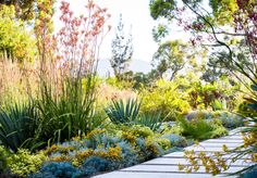 a garden filled with lots of different types of flowers and plants next to each other