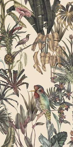 a wallpaper with tropical plants and birds