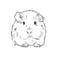 a hamster is sitting on its hind legs and looking at the camera royalty illustration