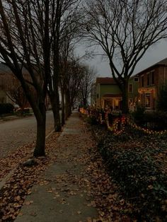 a street lined with houses and trees covered in leaves on a gloomy day at night