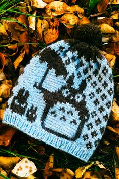 a blue and black knitted hat laying on top of leaves