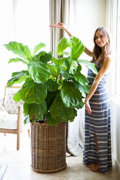 a woman standing next to a large potted plant in a room with a window