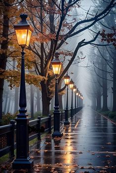 a row of street lamps sitting next to each other on a rain covered sidewalk in front of trees