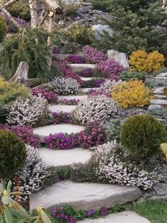 a stone path surrounded by flowers and trees