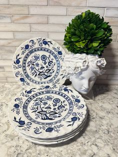 blue and white plates sitting on top of a counter next to a potted plant