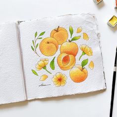 an artist's drawing of oranges and flowers