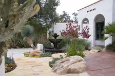 a garden with rocks and plants in front of a house