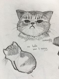 a drawing of a cat's face with words written on it