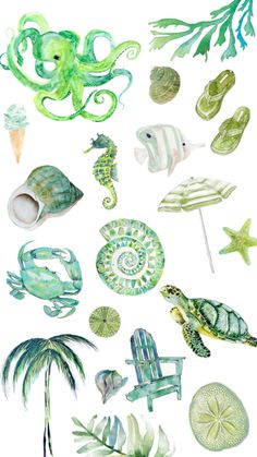 watercolor painting of sea animals and seashells