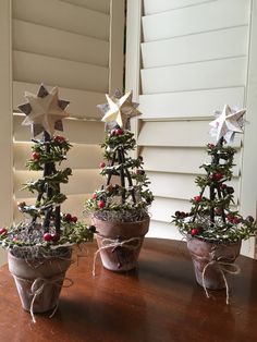 three potted christmas trees on a table