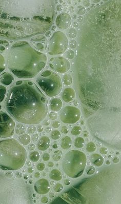 close up view of bubbles on the surface of green liquid with white and black dots